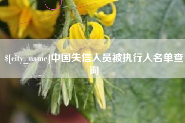 遂宁中国失信人员被执行人名单查询