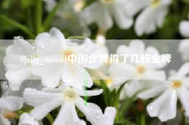 遂宁中国金牌得了几枚金牌