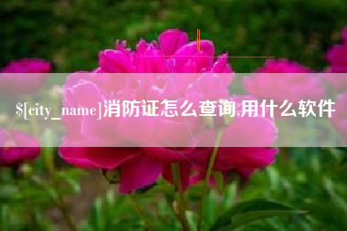遂宁消防证怎么查询,用什么软件