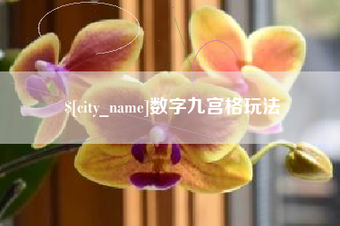 遂宁数字九宫格玩法