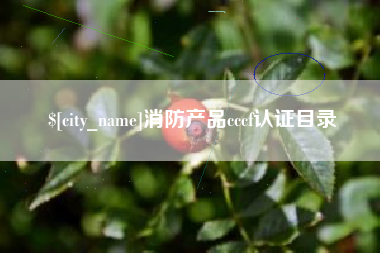 遂宁消防产品cccf认证目录