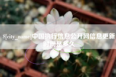 遂宁中国执行信息公开网信息更新时间是多久