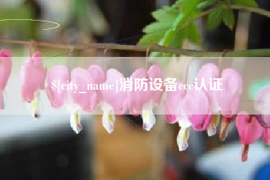遂宁消防设备ccc认证