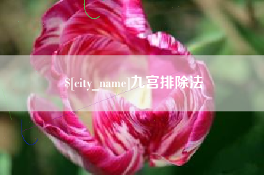 遂宁九宫排除法