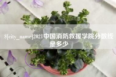 遂宁2021中国消防救援学院分数线是多少