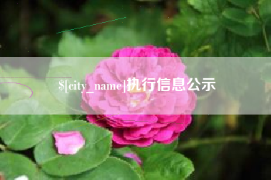 遂宁执行信息公示