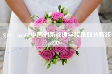 遂宁中国消防救援学院录取分数线2020