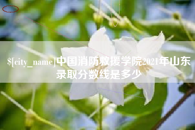 遂宁中国消防救援学院2021年山东录取分数线是多少