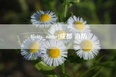 遂宁成都 消防