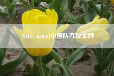 遂宁中国队九块金牌