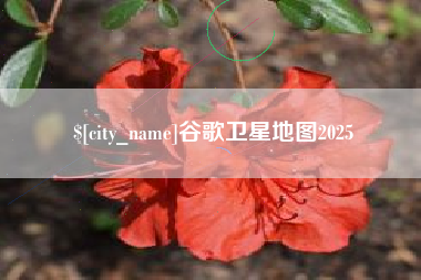 遂宁谷歌卫星地图2025