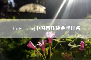 遂宁中国有几块金牌排名
