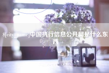 遂宁中国执行信息公开网是什么东西