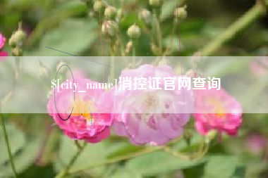 遂宁消控证官网查询