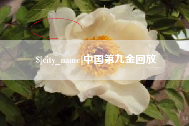 遂宁中国第九金回放