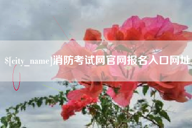 遂宁消防考试网官网报名入口网址