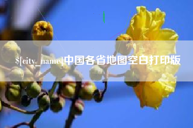 遂宁中国各省地图空白打印版