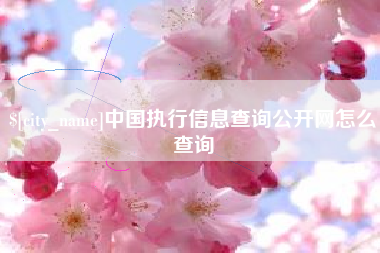 遂宁中国执行信息查询公开网怎么查询