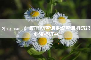 遂宁消防官网查询系统查询消防职业资格证书