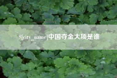 遂宁中国夺金大项是谁