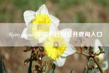 遂宁中国执行网公开查询入口