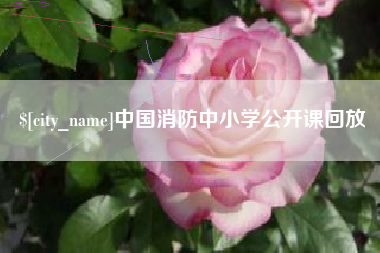 遂宁中国消防中小学公开课回放