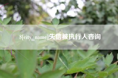 遂宁失信被执行人杳询