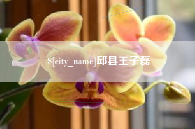 遂宁邱县王子磊