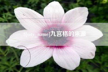 遂宁九宫格的来源