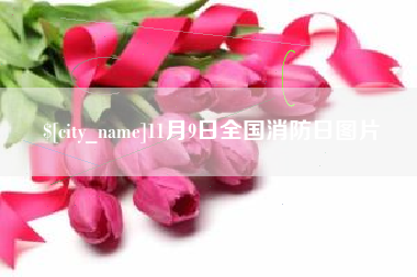 遂宁11月9日全国消防日图片