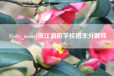 遂宁浙江消防学校招生分数线