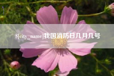 遂宁我国消防日几月几号