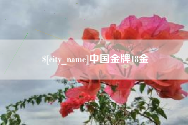 遂宁中国金牌18金
