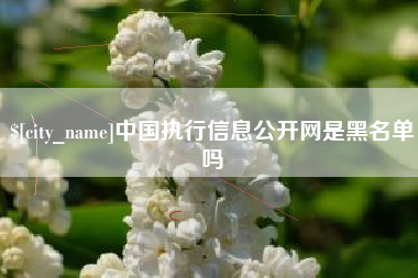 遂宁中国执行信息公开网是黑名单吗