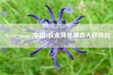 遂宁中国6枚金牌是哪些人获得的