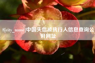 遂宁中国失信被执行人信息查询公开网址