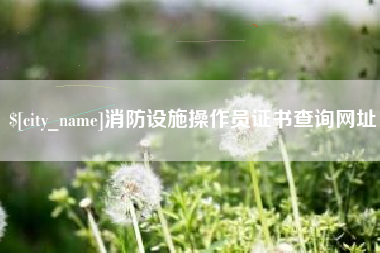 遂宁消防设施操作员证书查询网址