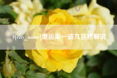遂宁奥运第一波九宫格解说