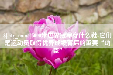 遂宁5000米世界冠军穿什么鞋-它们是运动员取得优异成绩背后的重要“功臣”