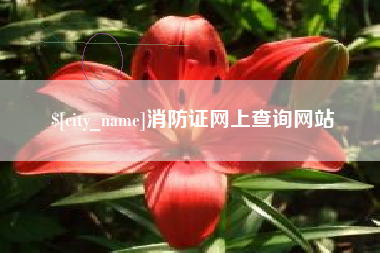 遂宁消防证网上查询网站