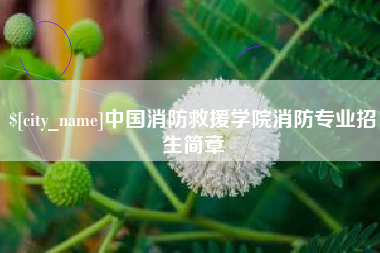 遂宁中国消防救援学院消防专业招生简章