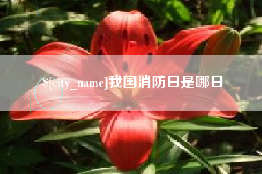遂宁我国消防日是哪日