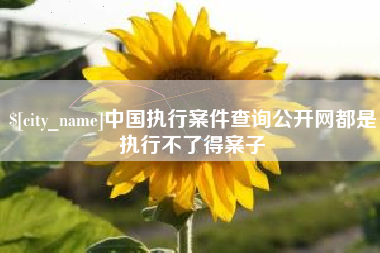 遂宁中国执行案件查询公开网都是执行不了得案子