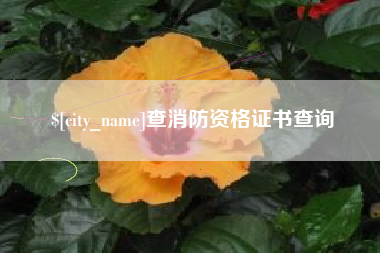 遂宁查消防资格证书查询