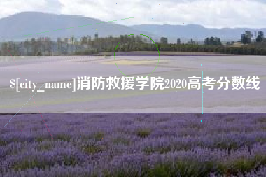 遂宁消防救援学院2020高考分数线