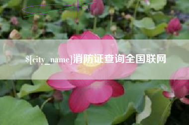遂宁消防证查询全国联网