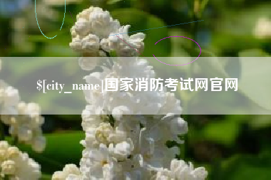 遂宁国家消防考试网官网