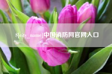 遂宁中国消防网官网入口