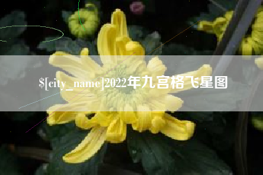 遂宁2022年九宫格飞星图