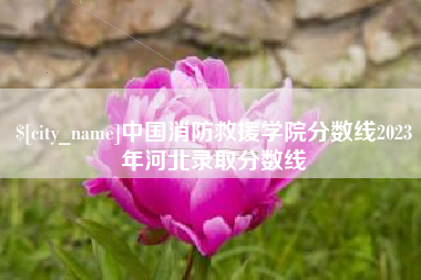 遂宁中国消防救援学院分数线2023年河北录取分数线